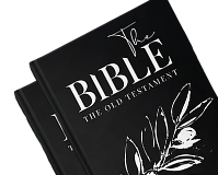 Experience The Whole Bible.